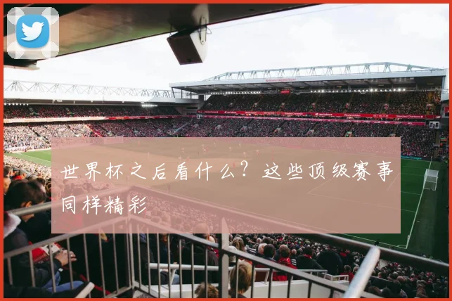 世界杯之后看什么？这些顶级赛事同样精彩