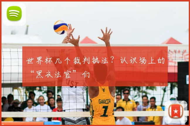 世界杯几个裁判执法?认识场上的“黑衣法官”们