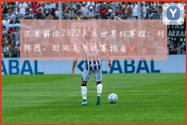 深度解读2022乒乓世界杯赛程：对阵图、时间表与观赛指南