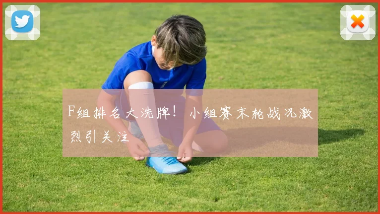 F组排名大洗牌！小组赛末轮战况激烈引关注